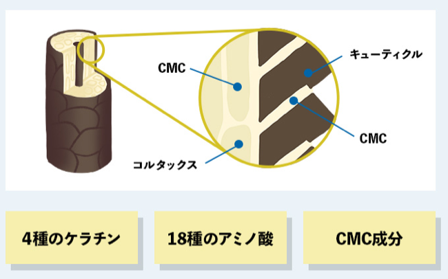 髪が乾燥する!!潤いを与えたい方に。100種のモイスチャー成分で髪を潤そう。に関する画像8