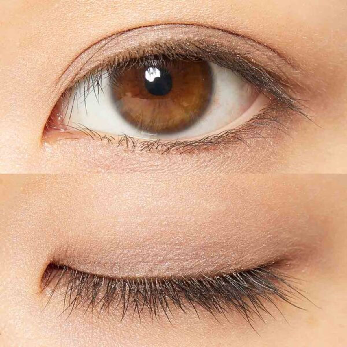 エテュセのリップエッセンス(ディープモイスト)のミニサイズをプレゼント!の画像